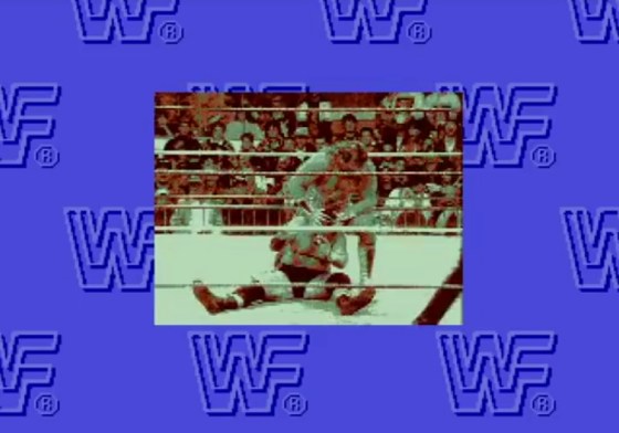 WWF Rage in the Cage 2