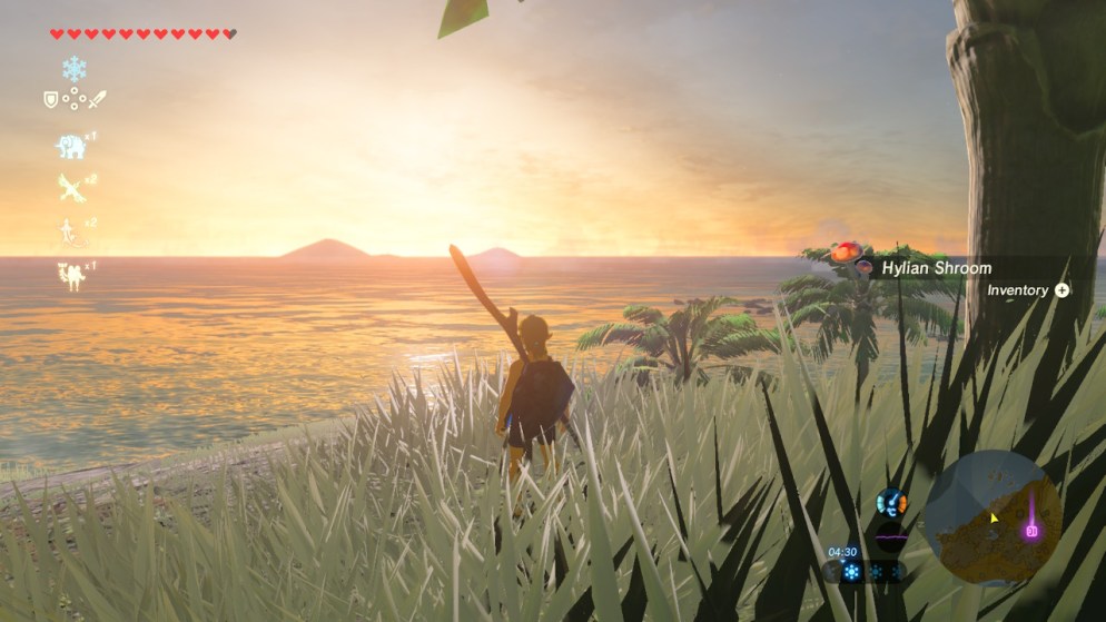 Breath of the Wild 3