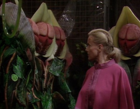 DW Terror of the Vervoids 2