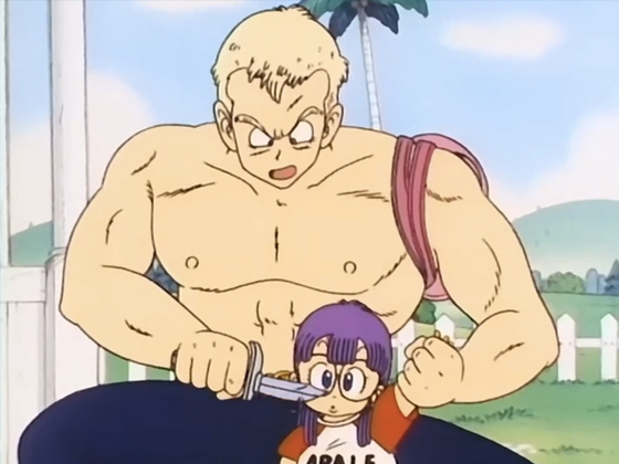 Dragon Ball Red Ribbon Army Arc Part 3 3